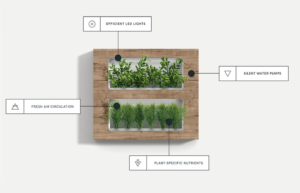 plant product components explained in a diagram